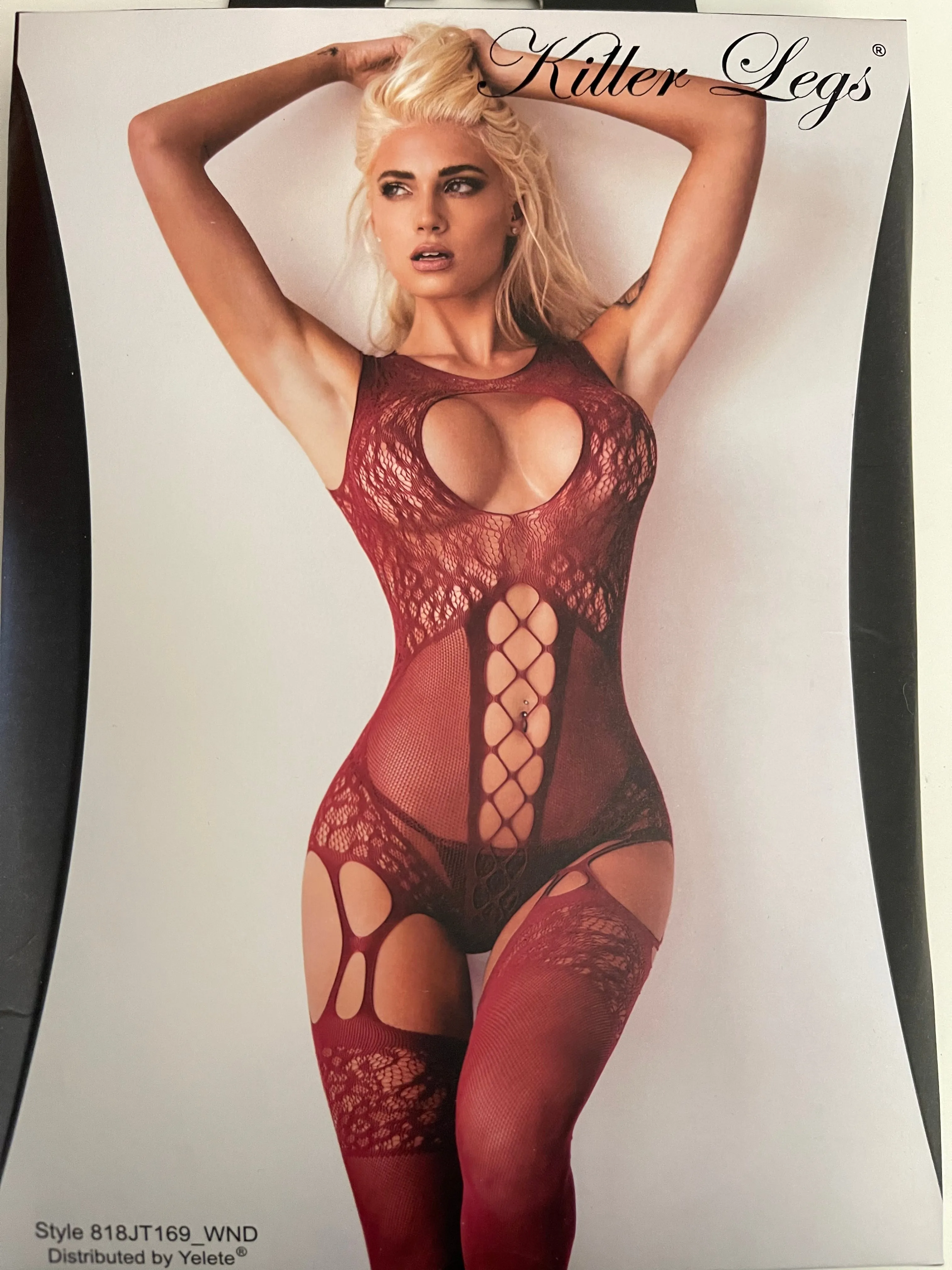 Lace Bodystocking w/ garters