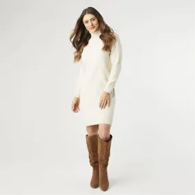 Long Sleeve Mock Neck Sweater Dress SALE