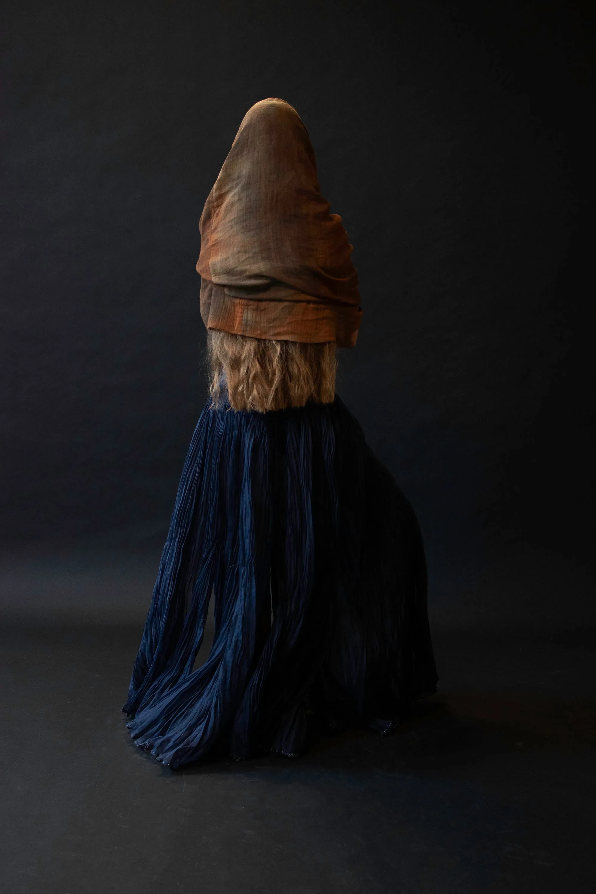 Navy Organza Skirt | Gianfranco Ferre