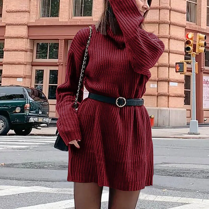 Plus Size Long Sleeve Turtleneck Sweater Dress